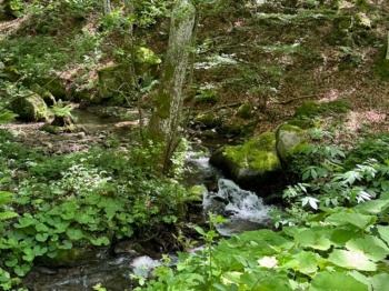 Insomma, come già sperimentato e a voi descritto in passato, il Parco Nazionale è un luogo unico, di certo da visitare, e non solo per la cura e l’attenzione che il Direttore gli dedica giorno e notte, ma anche perché l’atmosfera che si respira è immutabile nello spazio e nel tempo.
Nemmeno ciò che tutti noi siamo abituati ad incontrare in tutti gli spazi verdi che ci circondano, ossia i segni indistinguibili dell’essere umano, i suoi rifiuti, lo intaccano. Durante l’intera permanenza nel parco nessuno di noi è stato in grado di vedere il più piccolo e minimo residuo.