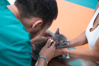 Gli ambulatori veterinari sociali