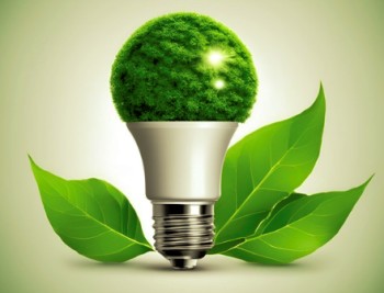 Come scegliere gestori di energia green