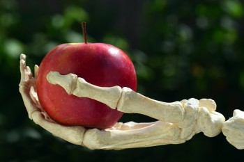 Agricoltura tradizionale e impatto ambientale