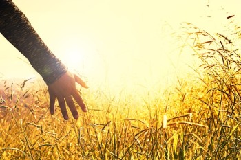 Prodotti biologici e ambiente