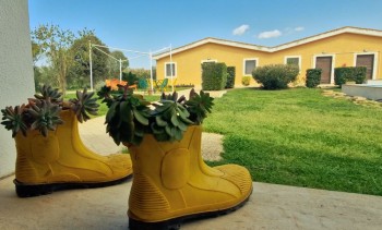 L'agricoltura inclusiva di OrtoStorto